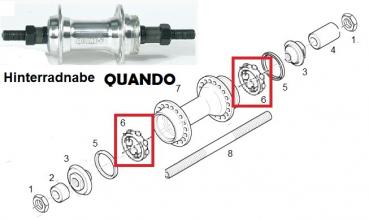 Preview: KUGELHALTER, HR. Ø 25,0 MM, 7-KUGELN 1/4"
